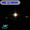 HD 124886
