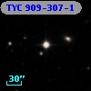 TYC  909-307-1