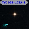 TYC  909-1239-1