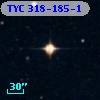 TYC  318-185-1