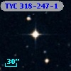 TYC  318-247-1