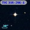 TYC  318-286-1