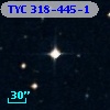 TYC  318-445-1