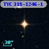 TYC  318-1246-1