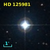 HD 125981