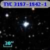 TYC 3187-1842-1