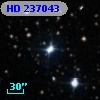 HD 237043