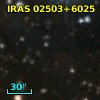 IRAS 02503+6025