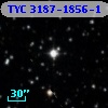 TYC 3187-1856-1