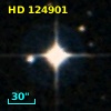 HD 124901