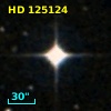 HD 125124