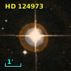 HD 124973