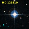 HD 125310