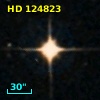 HD 124823