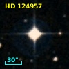 HD 124957