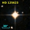 HD 125623