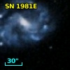 SN 1981E