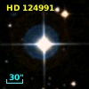 HD 124991
