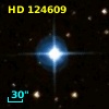 HD 124609