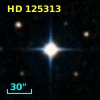 HD 125313