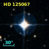HD 125067