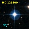 HD 125300