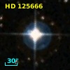 HD 125666
