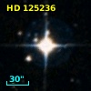 HD 125236