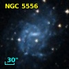 NGC  5556