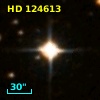 HD 124613