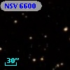 NSV  6600