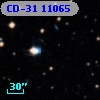 CD-31 11065