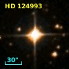 HD 124993