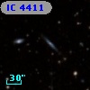 IC 4411