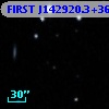 FIRST J142920.3+362343