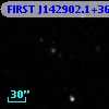 FIRST J142902.1+360226