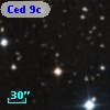 Ced   9c