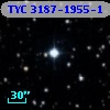 TYC 3187-1955-1
