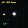 V* SU Boo