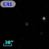 CASG 1232