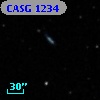 CASG 1234