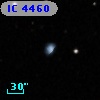 IC 4460