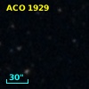 ACO  1929