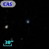CASG 1229