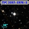 TYC 3187-1976-1