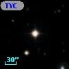 TYC 2021-212-1