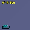 V* R Boo