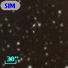 SIM   6
