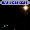 IRAS 14239+2206