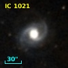 IC 1021